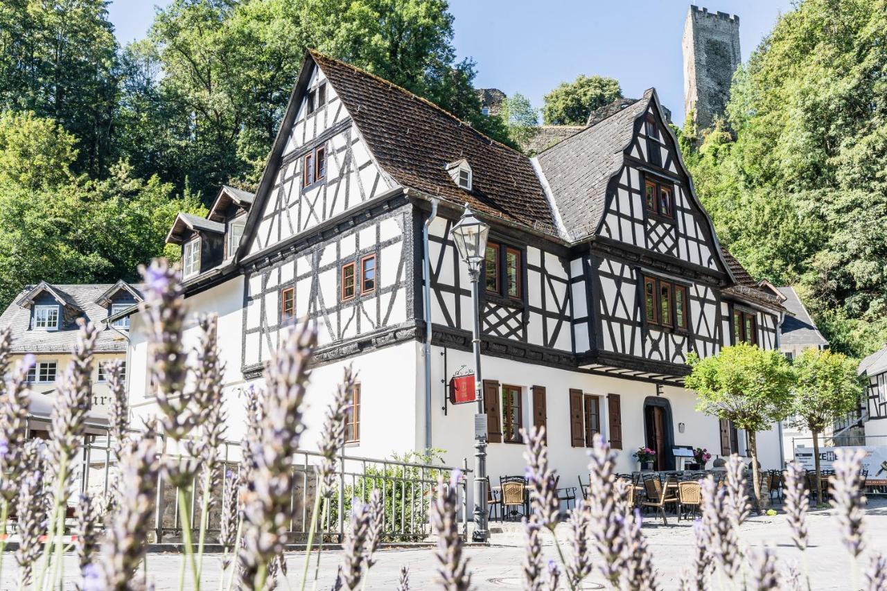 Landgasthof Zur Burg Grenzau Гер-Ґренцгаузен Екстер'єр фото